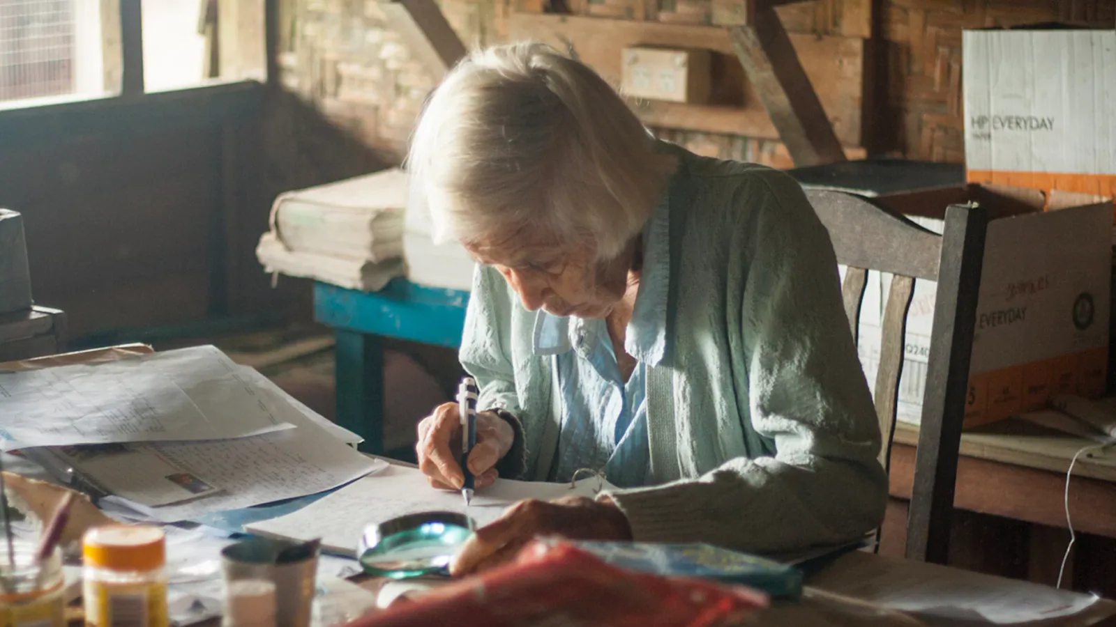 Remembering Dr Lin Calvert